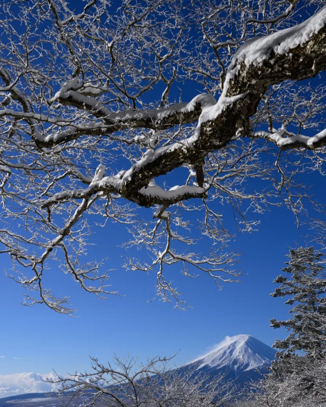 三ツ峠山荘 | 富士山の眺望の山小屋